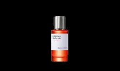 Hibiscus Mahajad<Maison Crivelli Hot