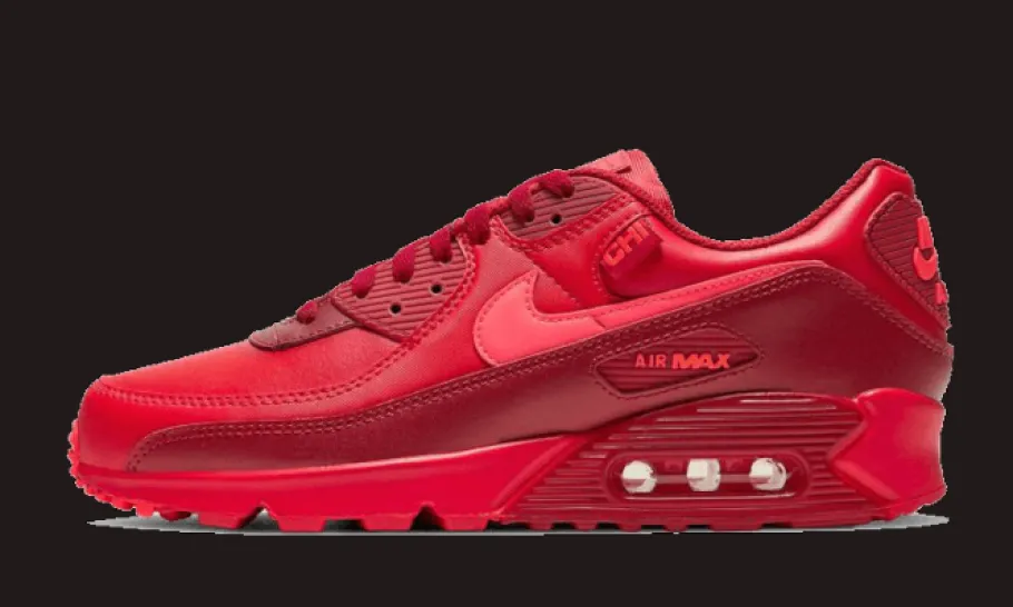 Air Max 90 Chi-City Special<Nike Fashion