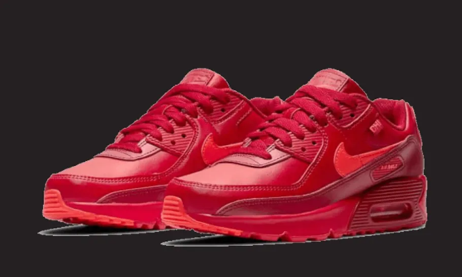 Air Max 90 Chi-City Special<Nike Fashion