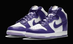 Dunk High SP Varsity Purple<Nike Hot