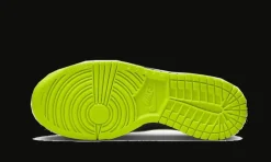 Dunk Low Acid Wash<Nike Online