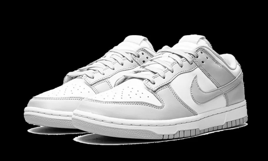 Dunk Low Grey Fog<Nike Hot