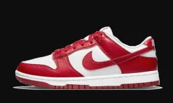 Dunk Low Next Nature Gym Red<Nike Best