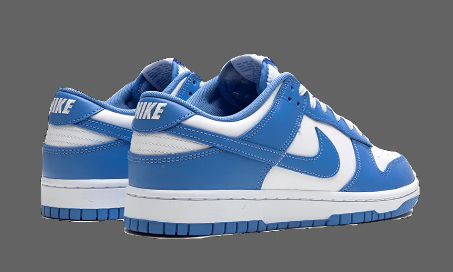 Dunk Low Polar Blue<Nike Best