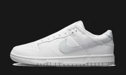 Dunk Low Retro White Pure Platinum<Nike Hot