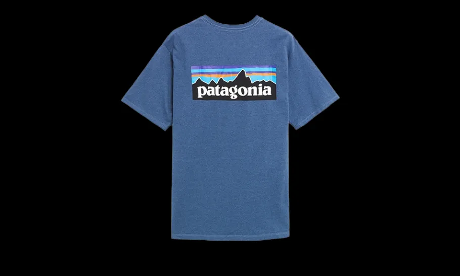 T-Shirt P-6 Logo Responsabili-Tee<Patagonia Best