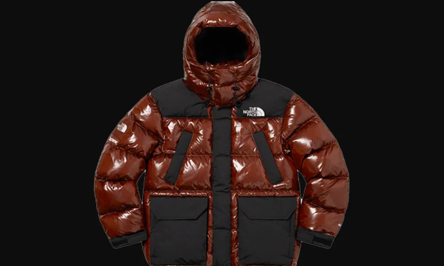 The North Face 700-Fill Down Parka Brown<Supreme Outlet