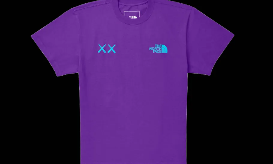 KAWS Tee Gravity Purple<The North Face Best