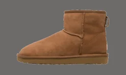 Classic Mini II Boot Chestnut<UGG Best